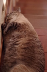 温もり