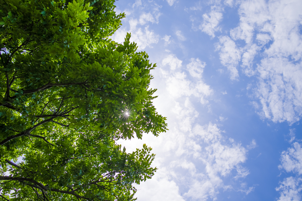 夏空