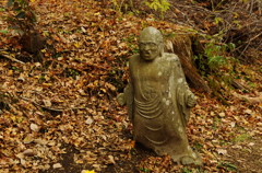 IMGP2599