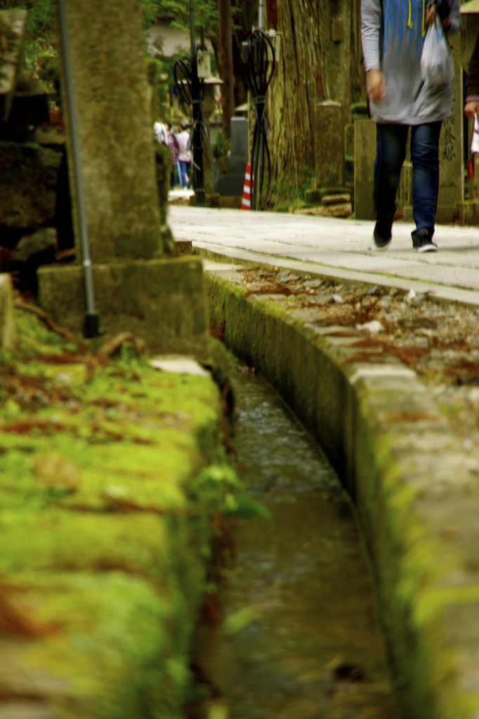 ドブもここまでいけばかっこいいね