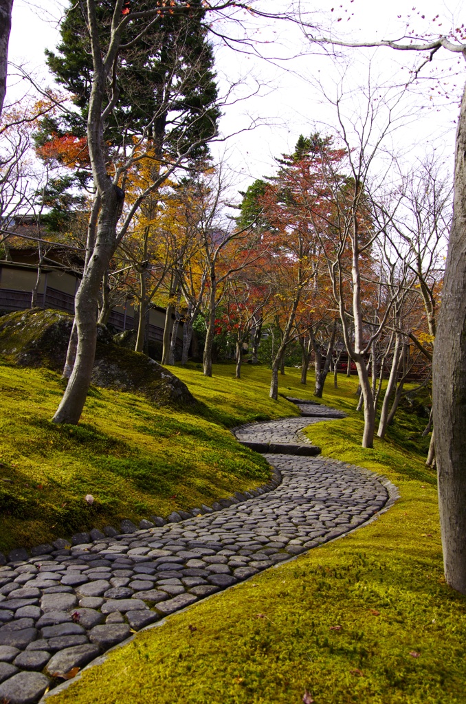 行く先は。。。