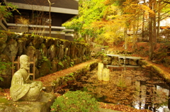 IMGP2574