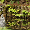 IMGP2579