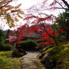 IMGP2469