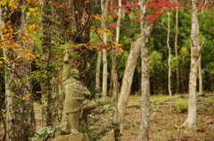 IMGP2620