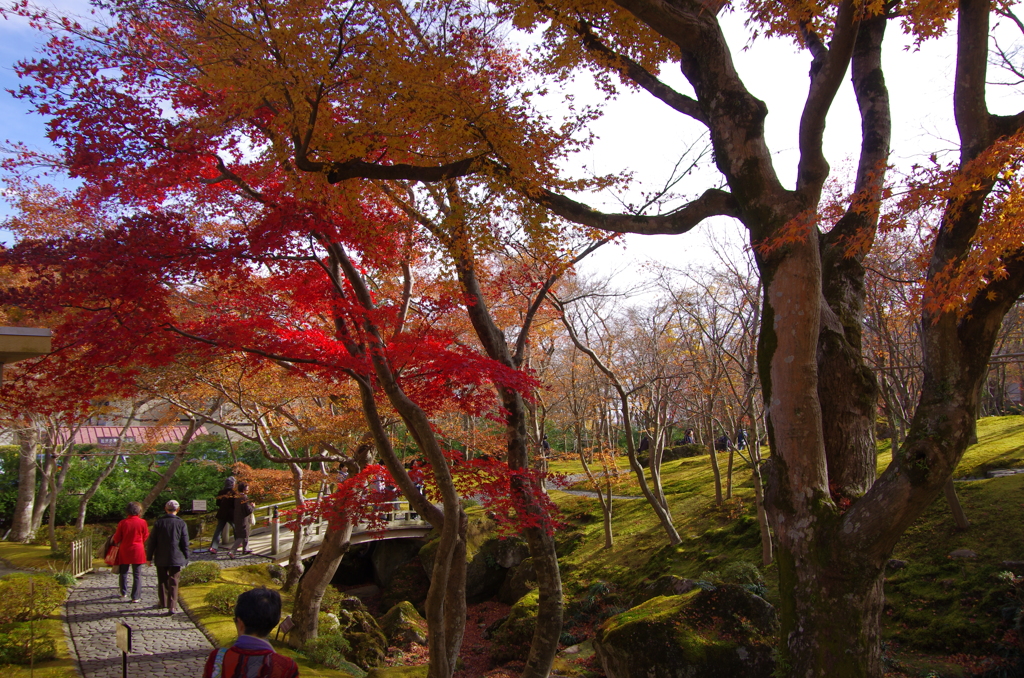 箱根紅葉