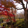 箱根紅葉