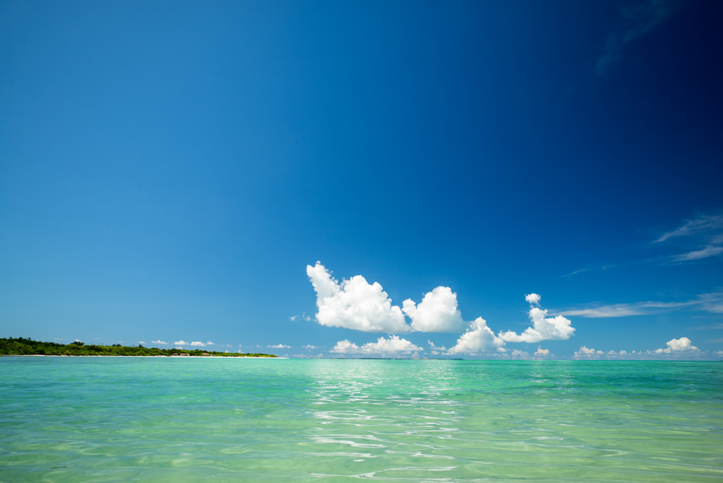 Clear Sky and Ocean