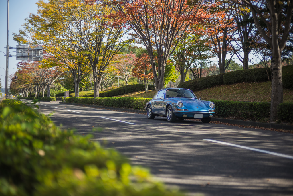 911 with Autumn leaves