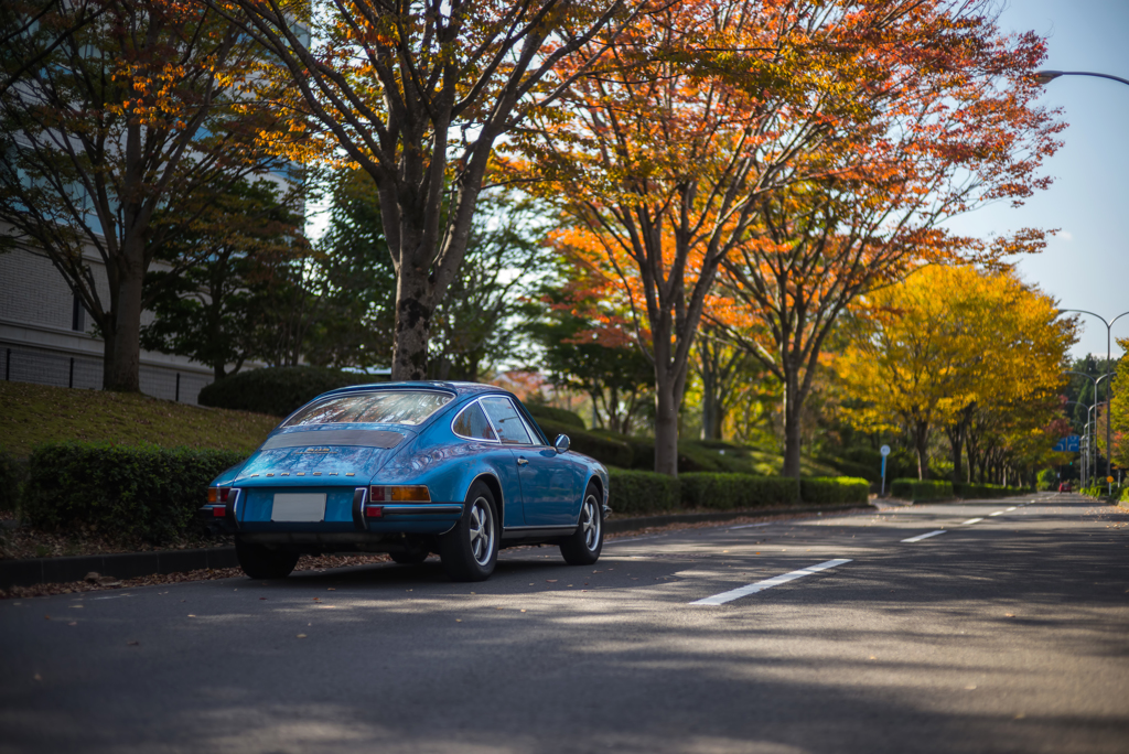911 with Autumn leaves II
