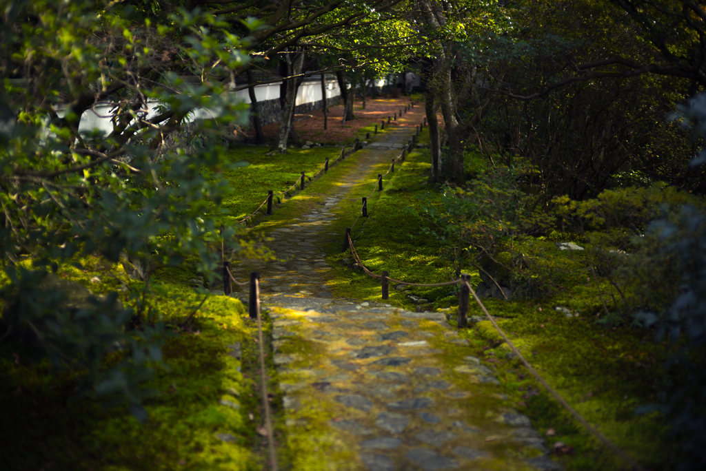 苔寺