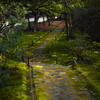 苔寺