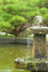 残念な噴水。