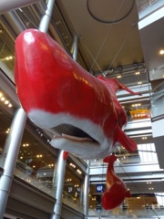 親子クジラ