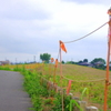 どこまでも