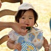日本の夏といえばスイカ