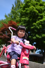 視線の先に待つ姉を追いかけ