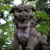 DSC06198