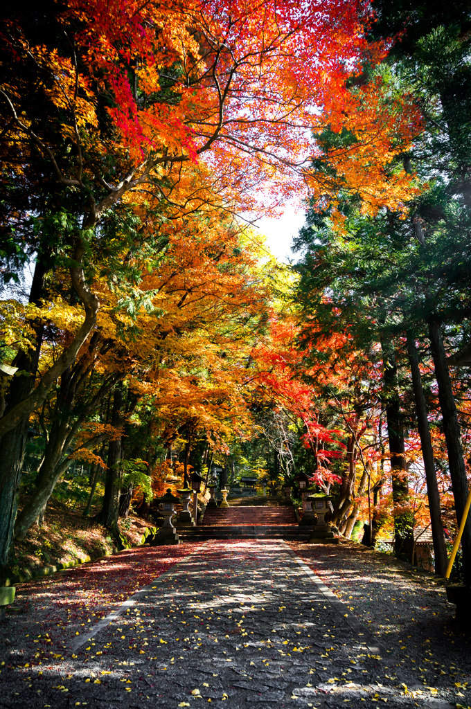 日枝神社