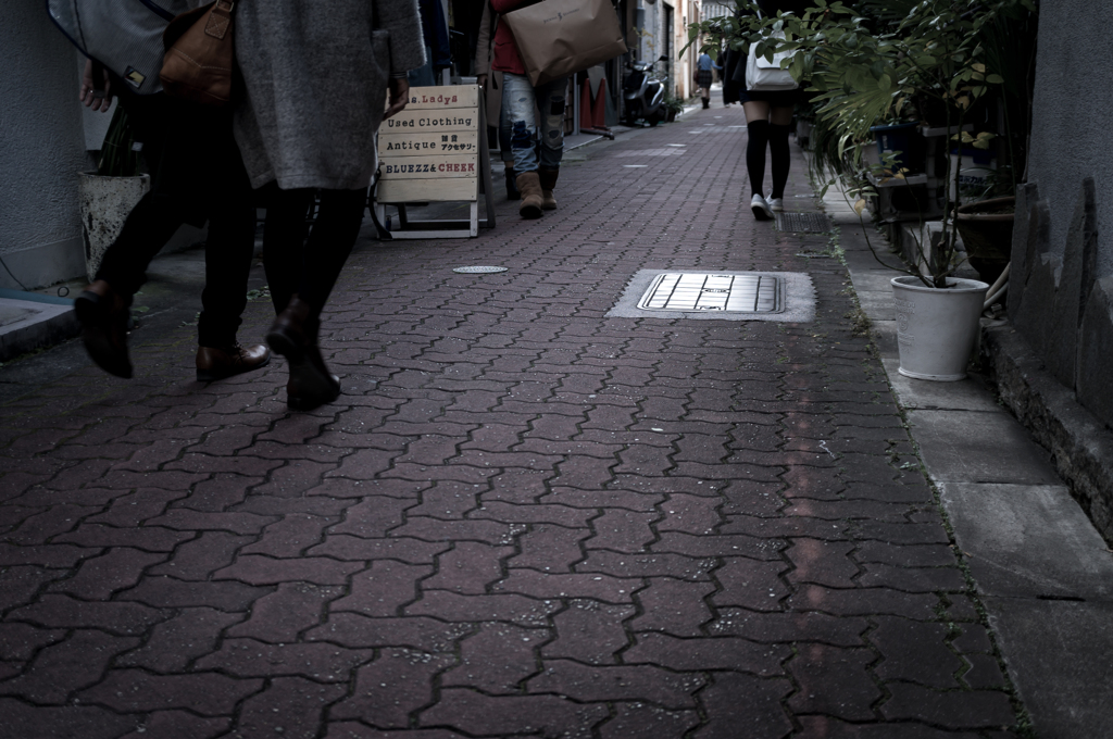DSC09950