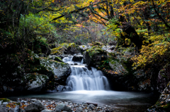 にわとり淵滝