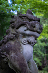 DSC06209
