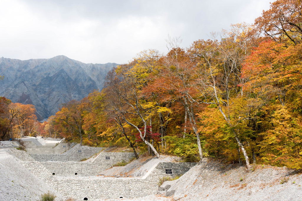 大山・三の沢