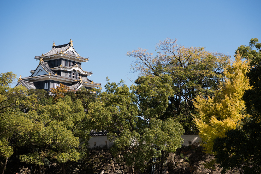 深秋の岡山城