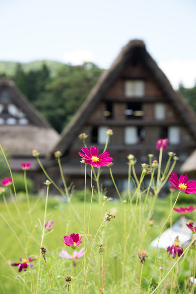 白川郷－秋の気配－