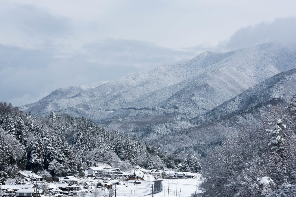 雪里