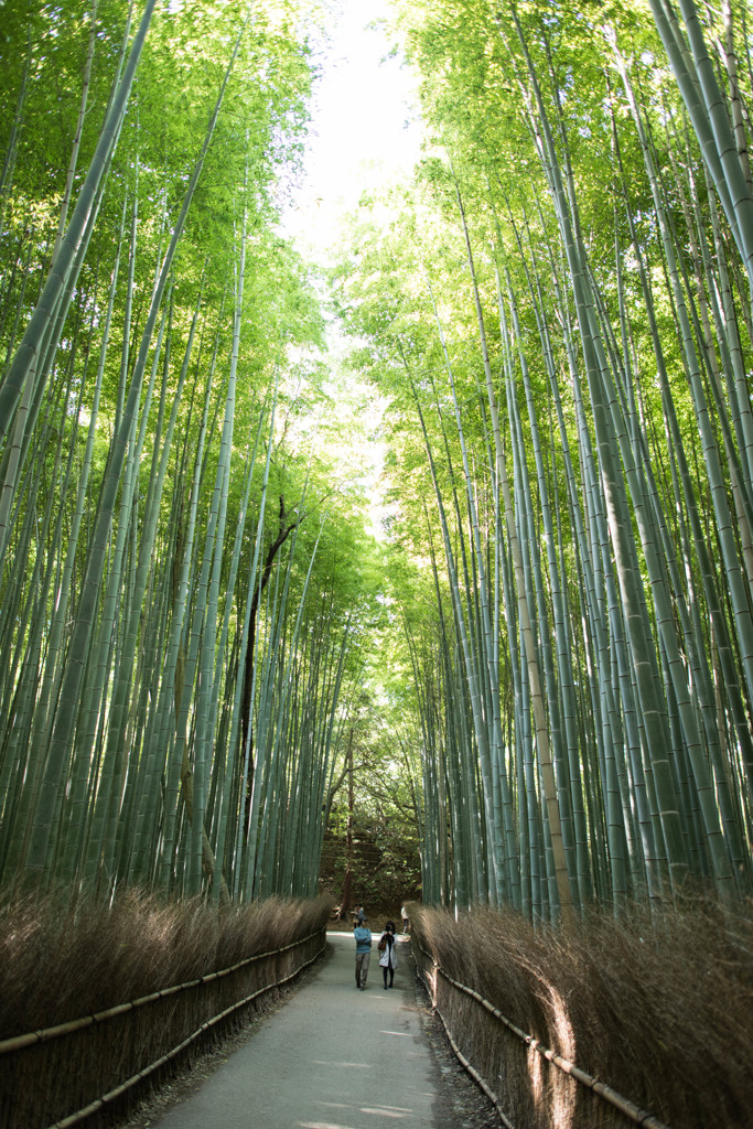 竹林の二人