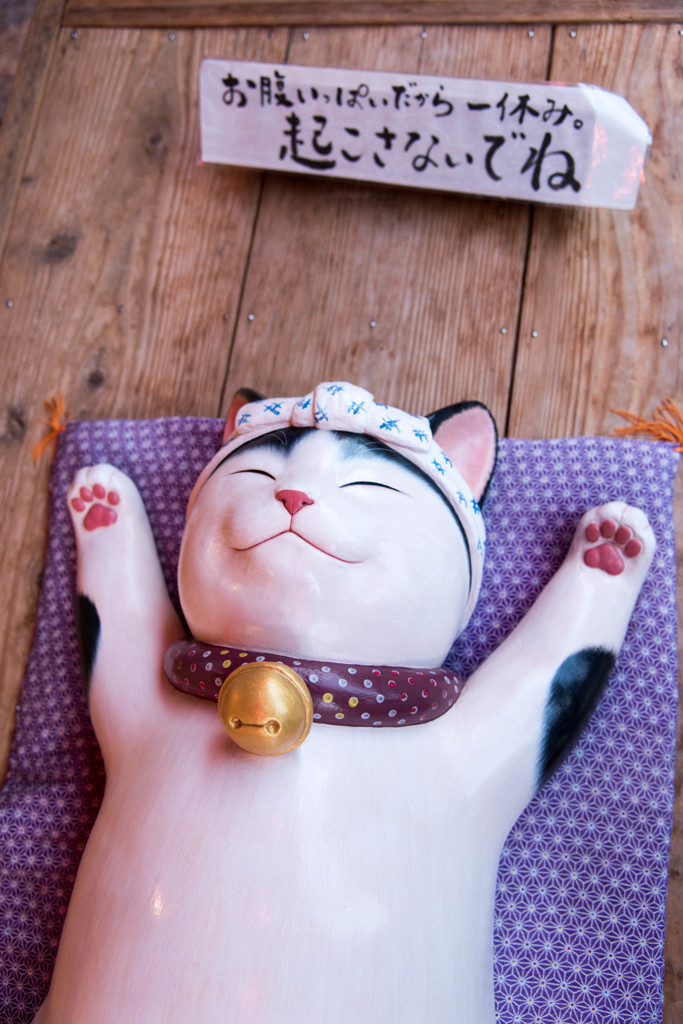 満足ニャ～