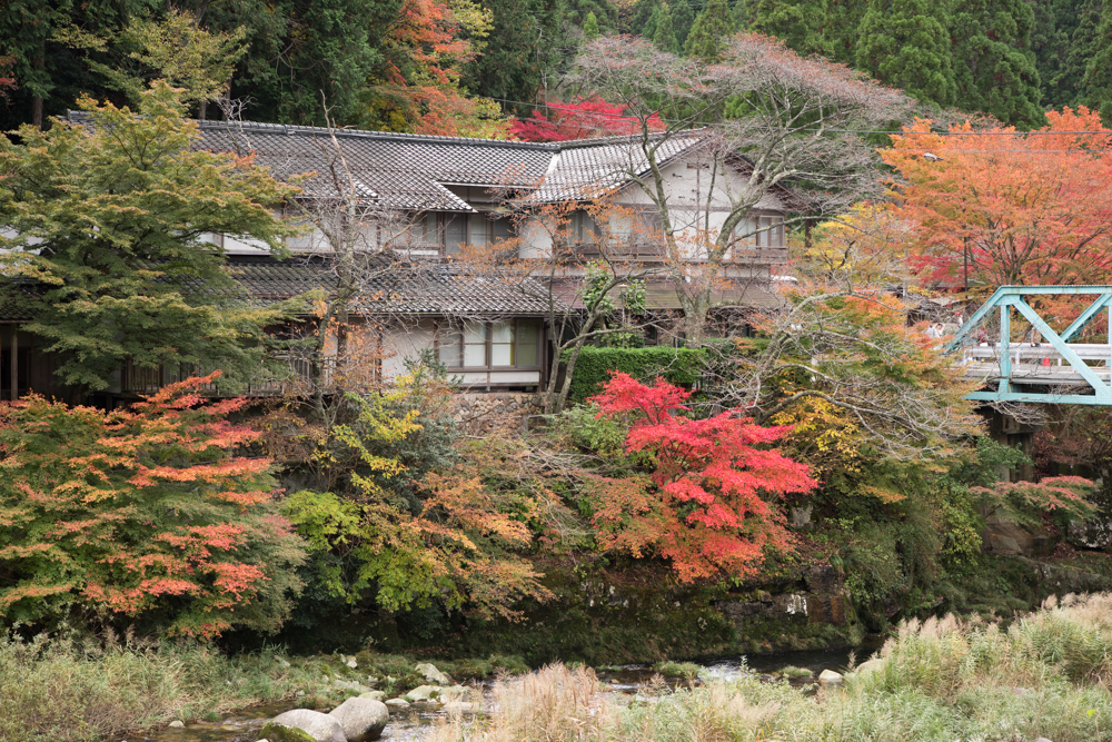 山里に色染まる