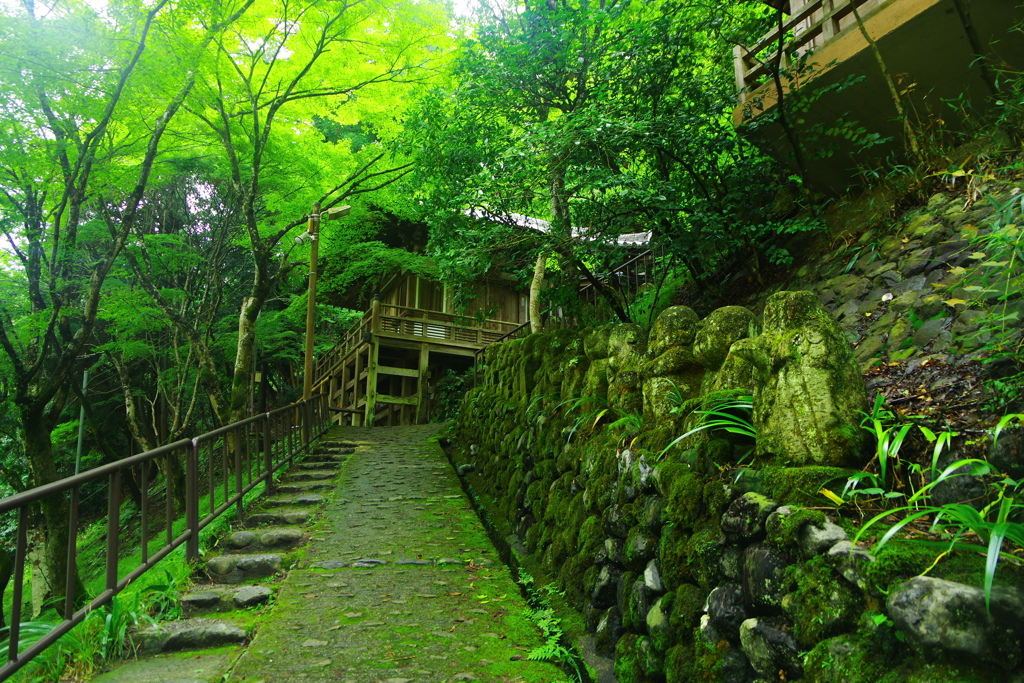 深まる翠の愛宕寺