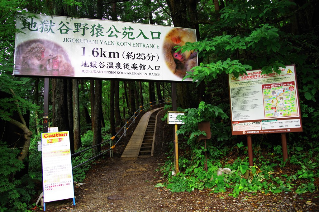 可愛い子には旅をさせて٩(ˊᗜˋ*)و