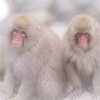 君と僕。