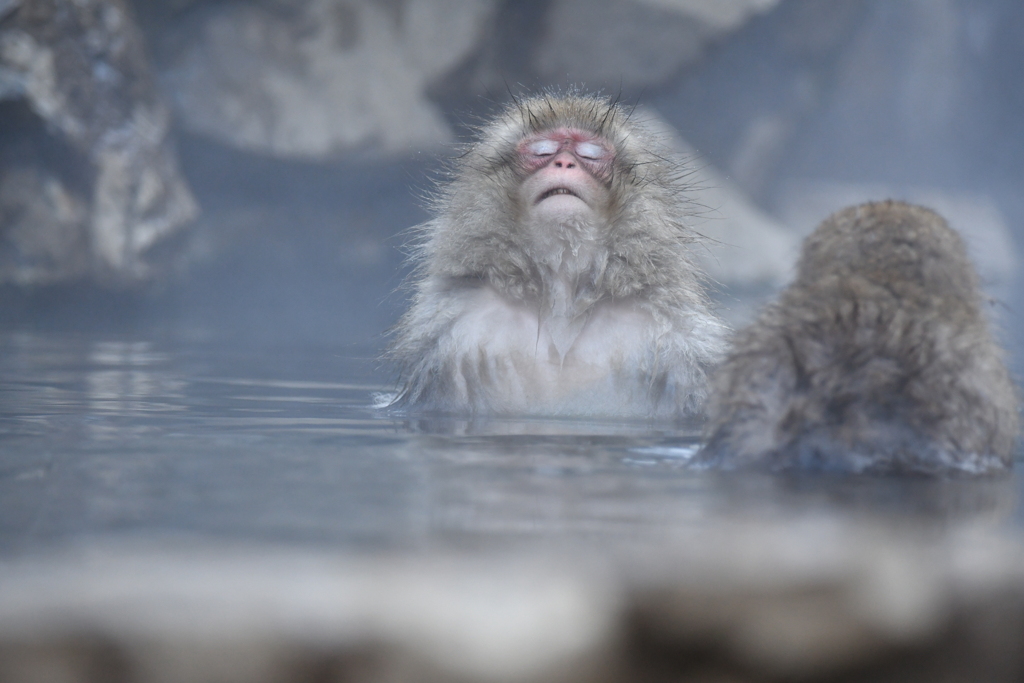 はぁ～いい湯だなぁ♪。.:＊・゜