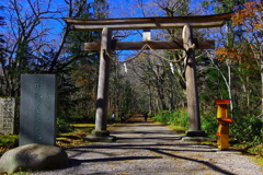 戸隠神社・奥社への参道