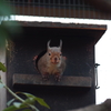 heartで通じ合う