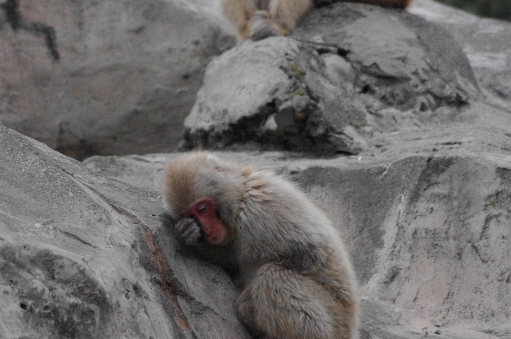 眠り