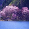 やさしい〝はる〟の煌めき♪。.:＊・゜