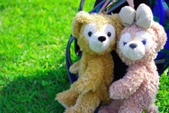 ぴったんこ寄り添って(⋈◍＞◡＜◍)。✧♡