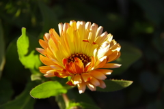 ,゜.:。+゜smiling,゜.:。+゜ ,゜.:。+゜smiling,゜.:。+゜