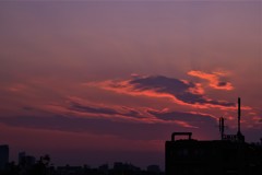 さーもんぴんく☆彡