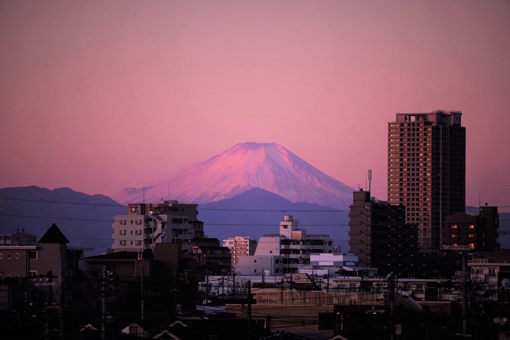 薄紅色に染まる朝♪。.:＊・゜