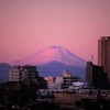 薄紅色に染まる朝♪。.:＊・゜