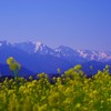 しあわせ色の風景♪。.:＊・゜