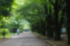 season of new green leaves
