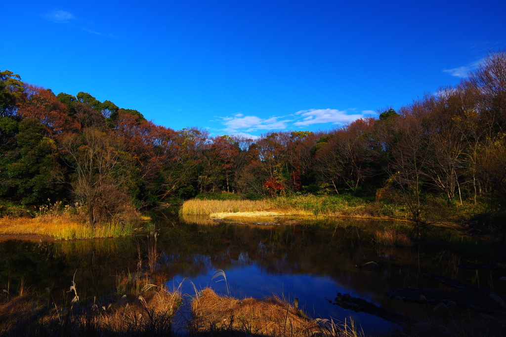 ここが鏡池なら・・・