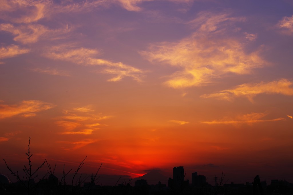 夕陽が笑う　君も笑う♬*.+゜